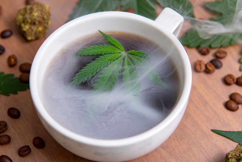 infusion au CBD 2